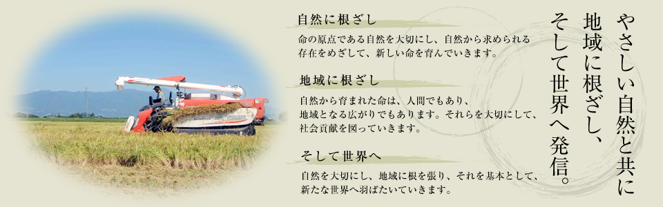 会津坂下町でお米やそば粉を生産・販売｜若宮ばくさく